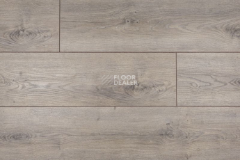 Kronopol Aurum Symfonia Aqua Zero d4529 Дуб Соло фото 1 | FLOORDEALER